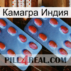 Камагра Индия 05